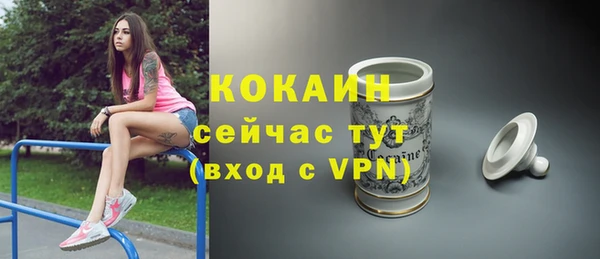 mdpv Медвежьегорск