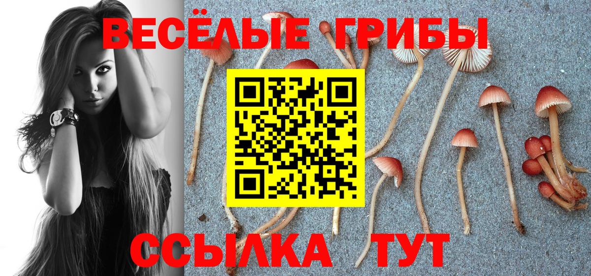 Севастополь  Псилоцибиновые грибы мицелий  Псилоцибиновые грибы мицелий  Вход с VPN 